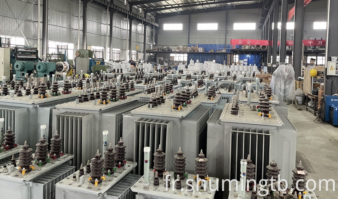 Superb Quality Oil Immersed Transformers